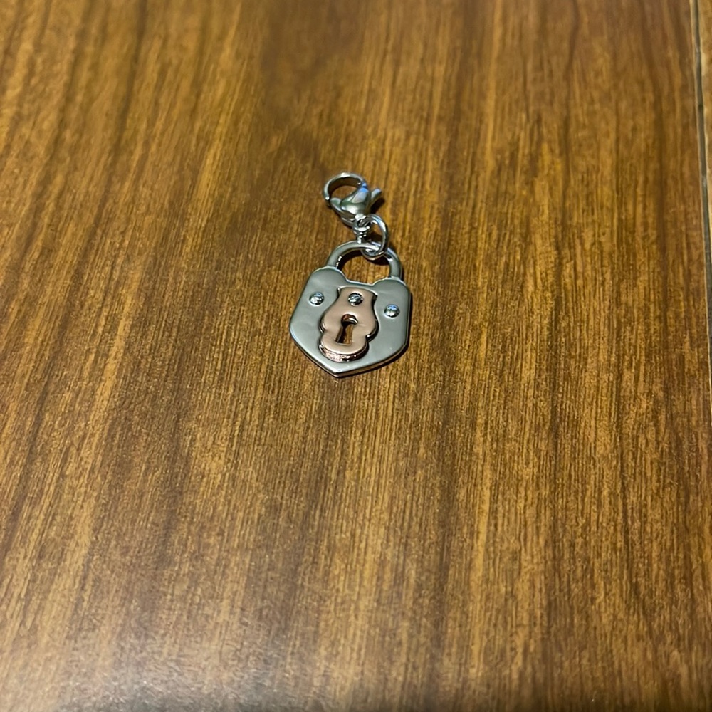Necklace charm silver and gold tone